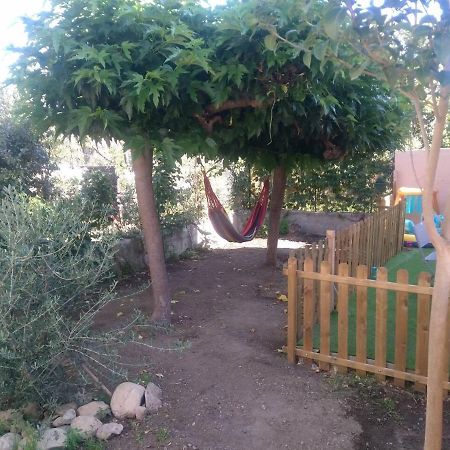 Appartement 62 M2 1Er Etage Avec Jardin Au Rdc Saint-Genis-des-Fontaines Luaran gambar